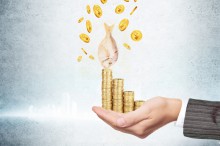 SEM推广咨询低?转化差?几招帮你解决问题!|竞价培训-竞价推广博客