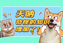 如何提升搜索ocpc推广效果【视频教学课程免费领取】-sem培训-竞价推广博客